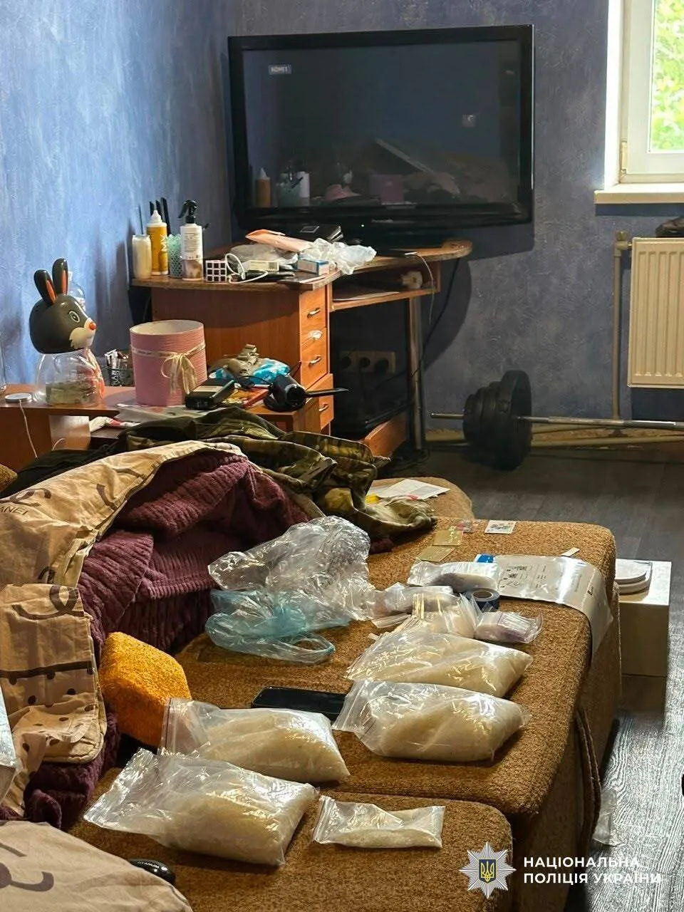Стражи порядка провели сотны обысков