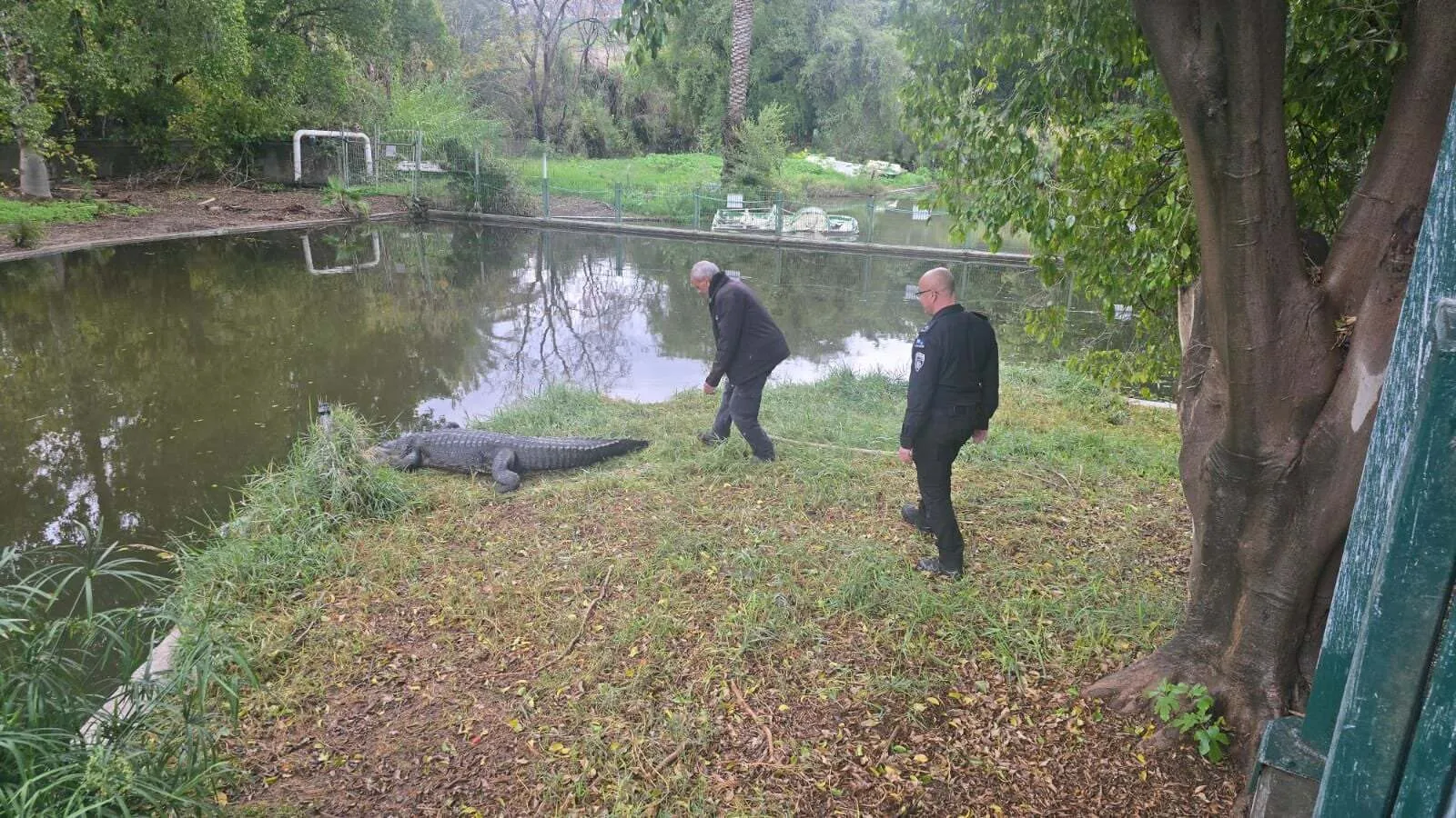 Високопосадовці в'язниці оглядають крокодилячу ферму в Хамат-Ґадер на півночі Ізраїлю