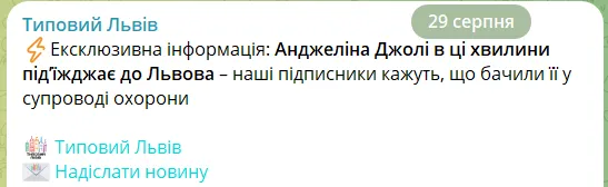 Джоли якобы 29 августа направлялась в Львов.