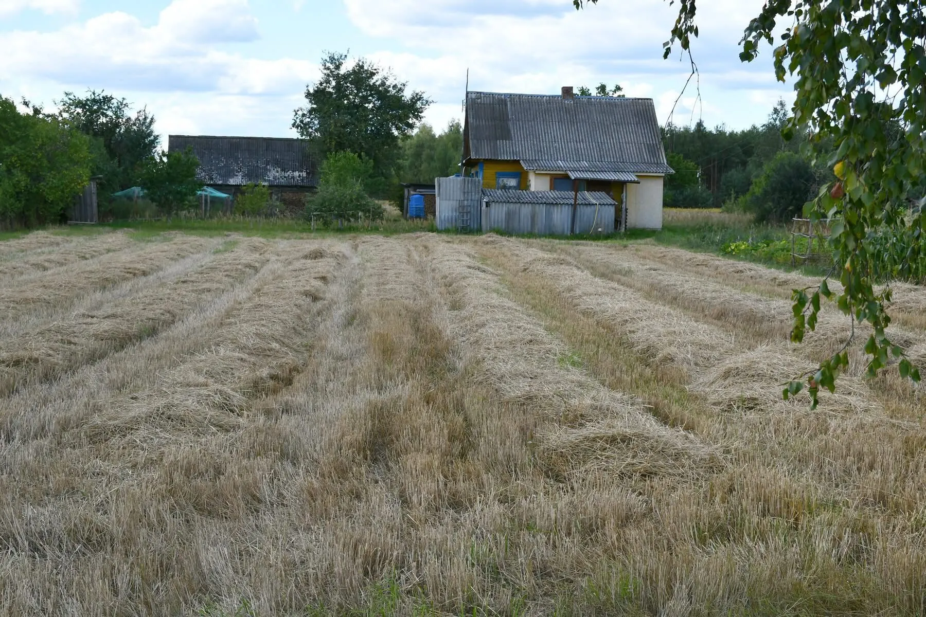 Город.