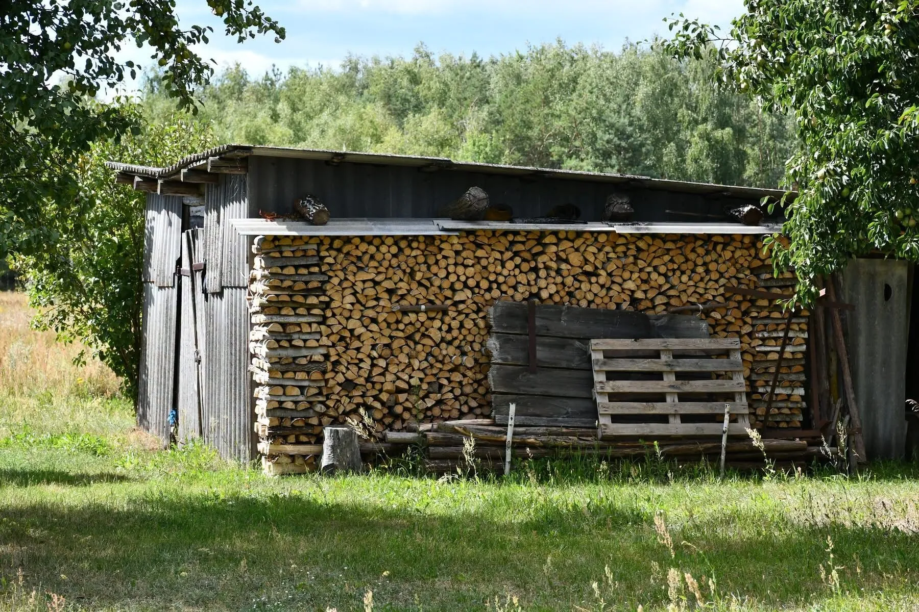 Дровяной сарай в селе.