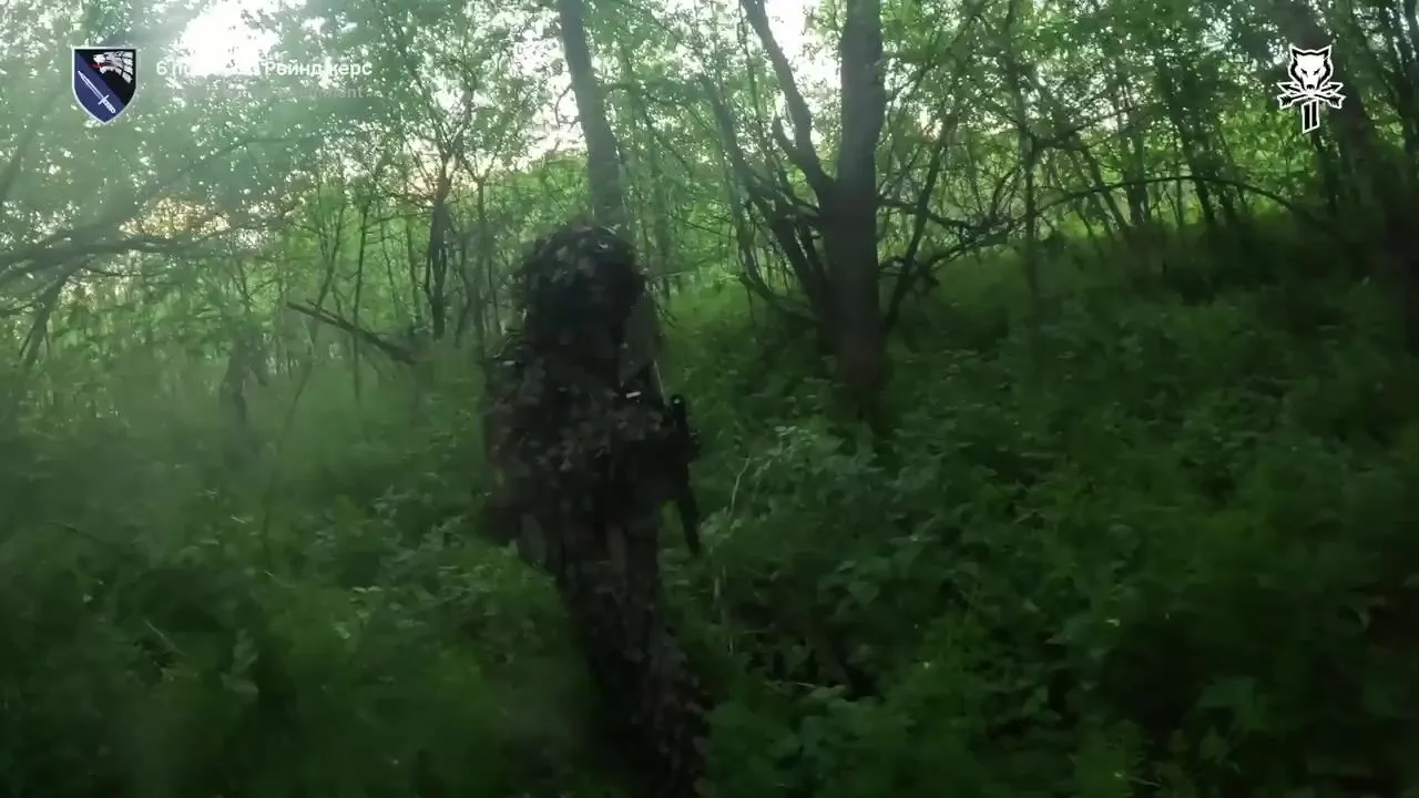 ССО совершили налёт на позиции врага