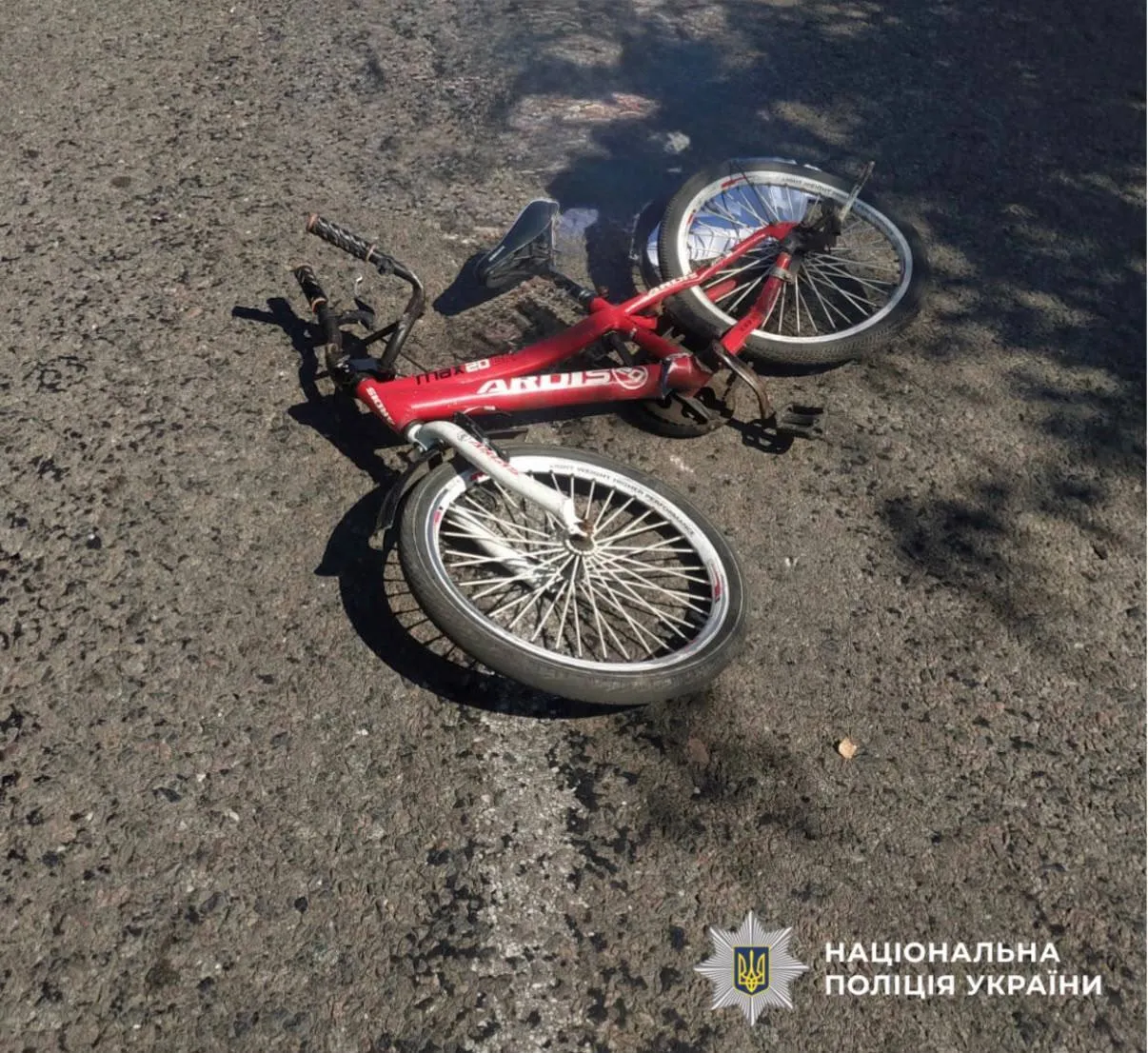 От полученных травм 6-летний ребенок скончался на месте происшествия.