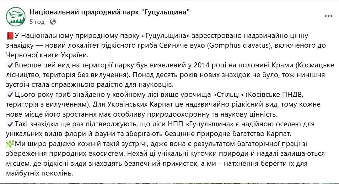У нацпарку Гуцульщина знайшли рідкісний фіолетовий гриб