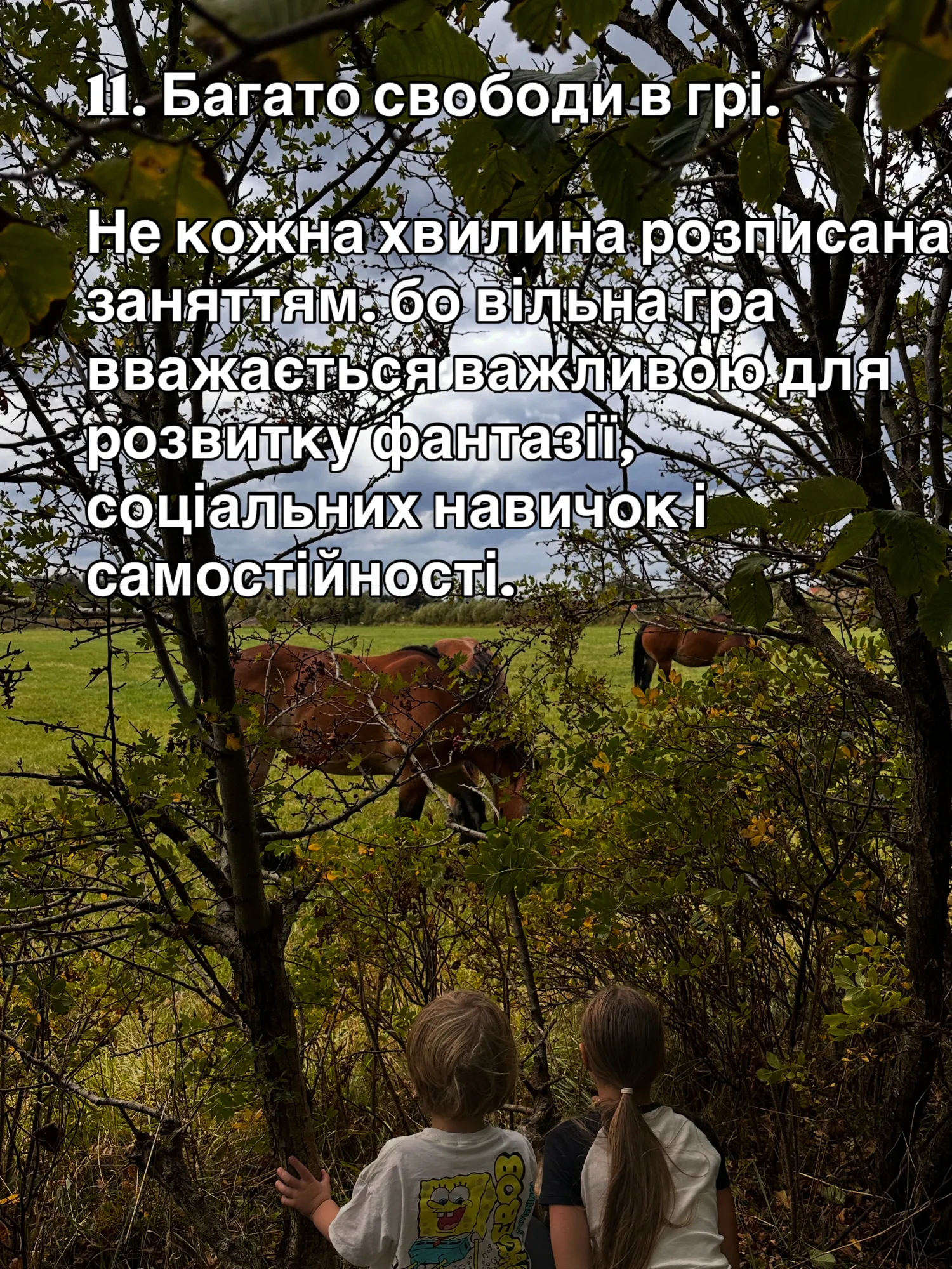 11. Багато свободи в грі.
