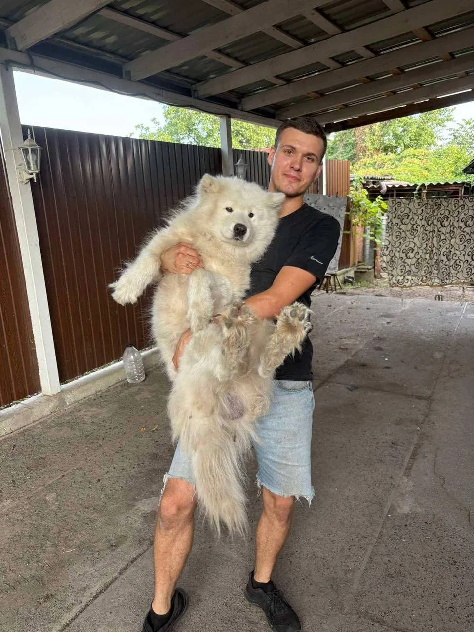 Тварину розшукали.