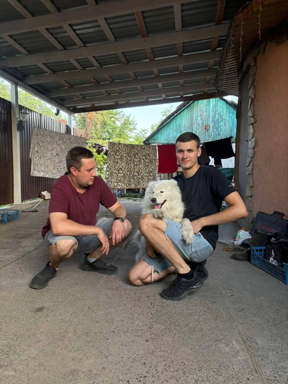 Собака в безпеці та скоро поїде до нової родини.