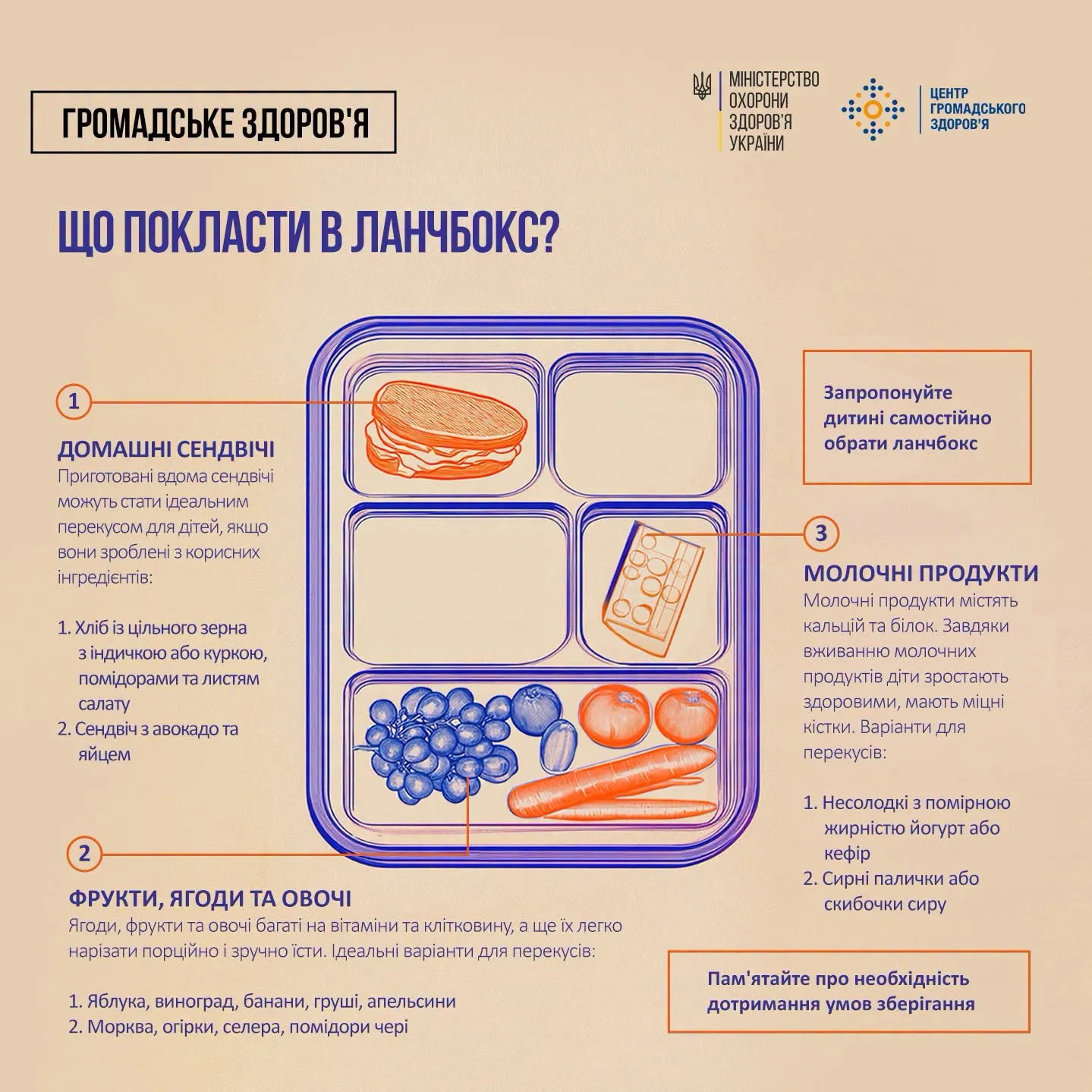 Что стоит положить ребенку в ланчбокс в школу – инфографика Минздрава.