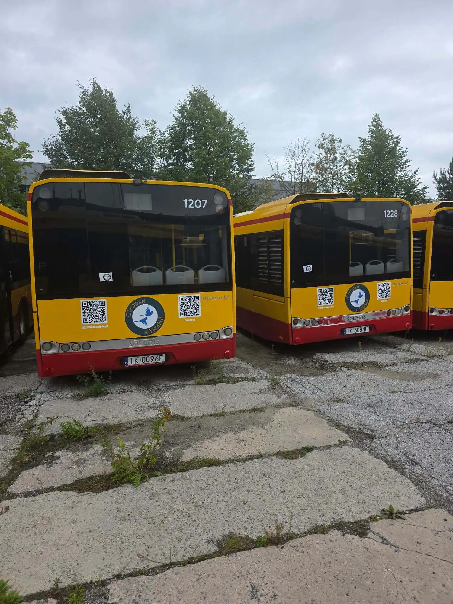 Украинский город получит три польских автобуса