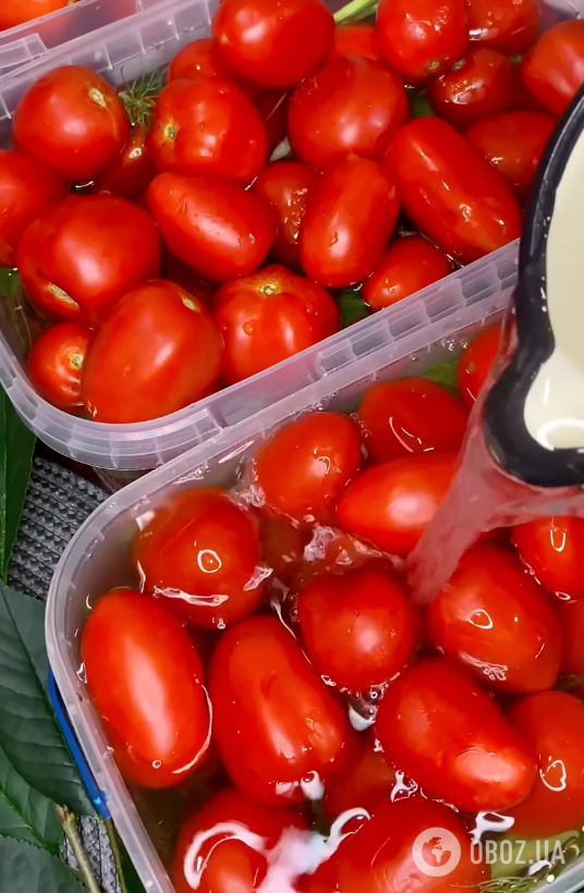 Как приготовить вкусные квашеные помидоры