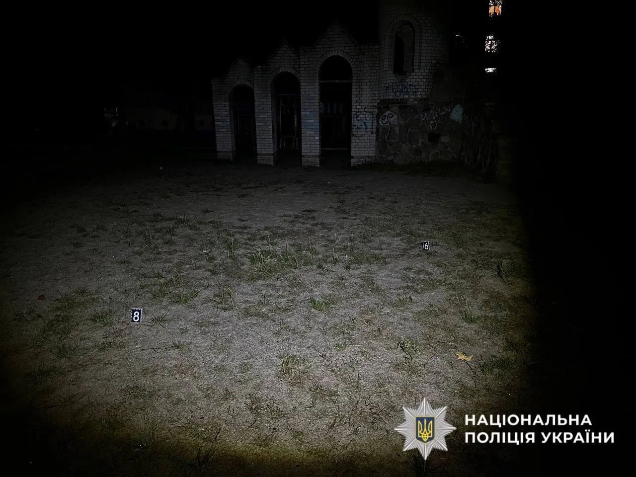 Інцидент стався у місті Васильків поблизу одного з дитячих майданчиків.