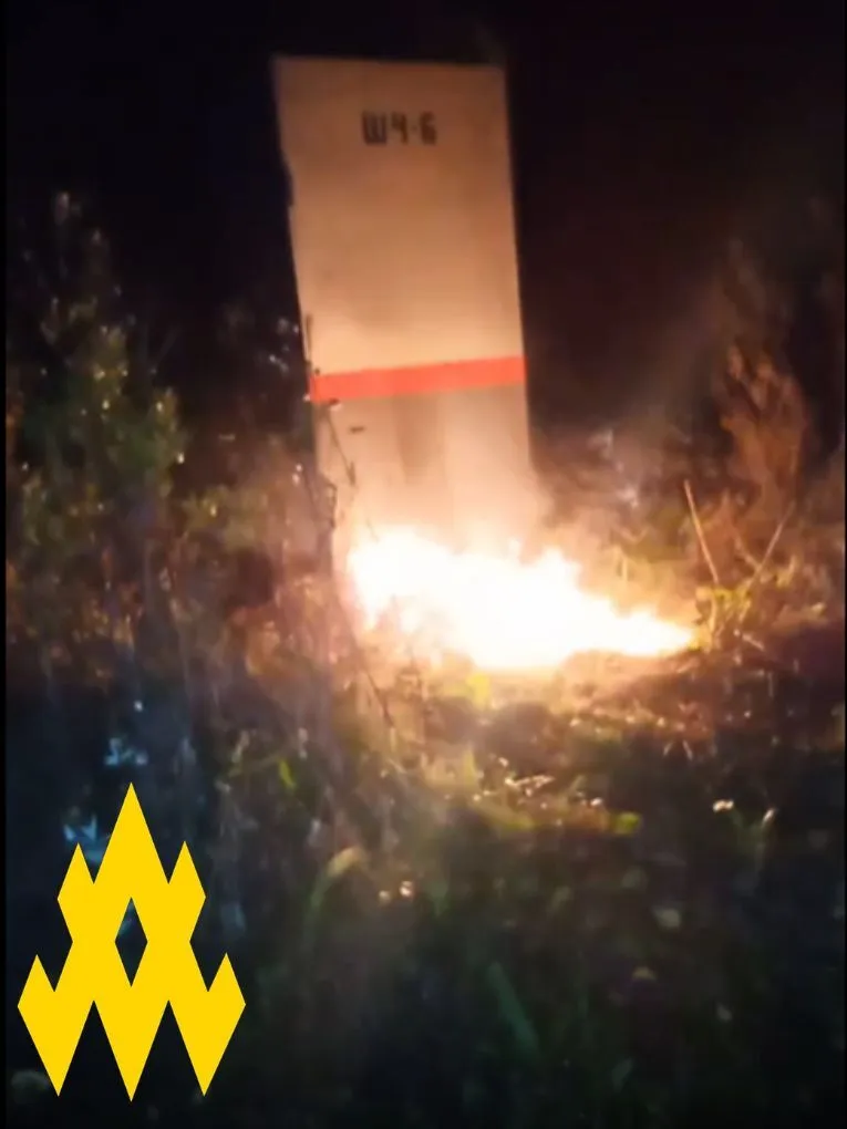 Партизани діяли у Воронезькій області