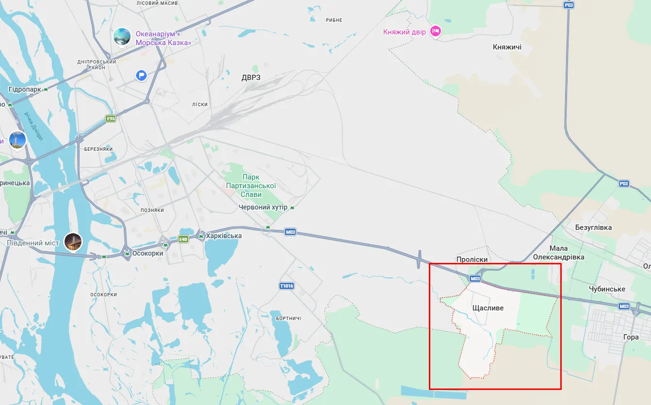ДТП произошло в селе Счастливое Киевской области.