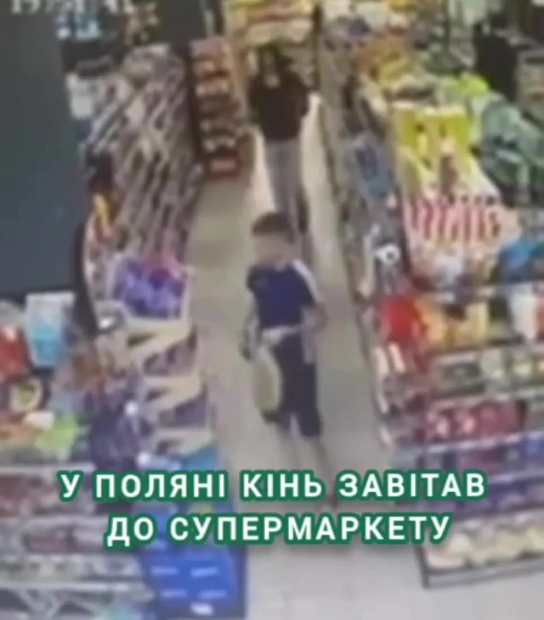 В Поляне лошадь зашла в супермаркет.