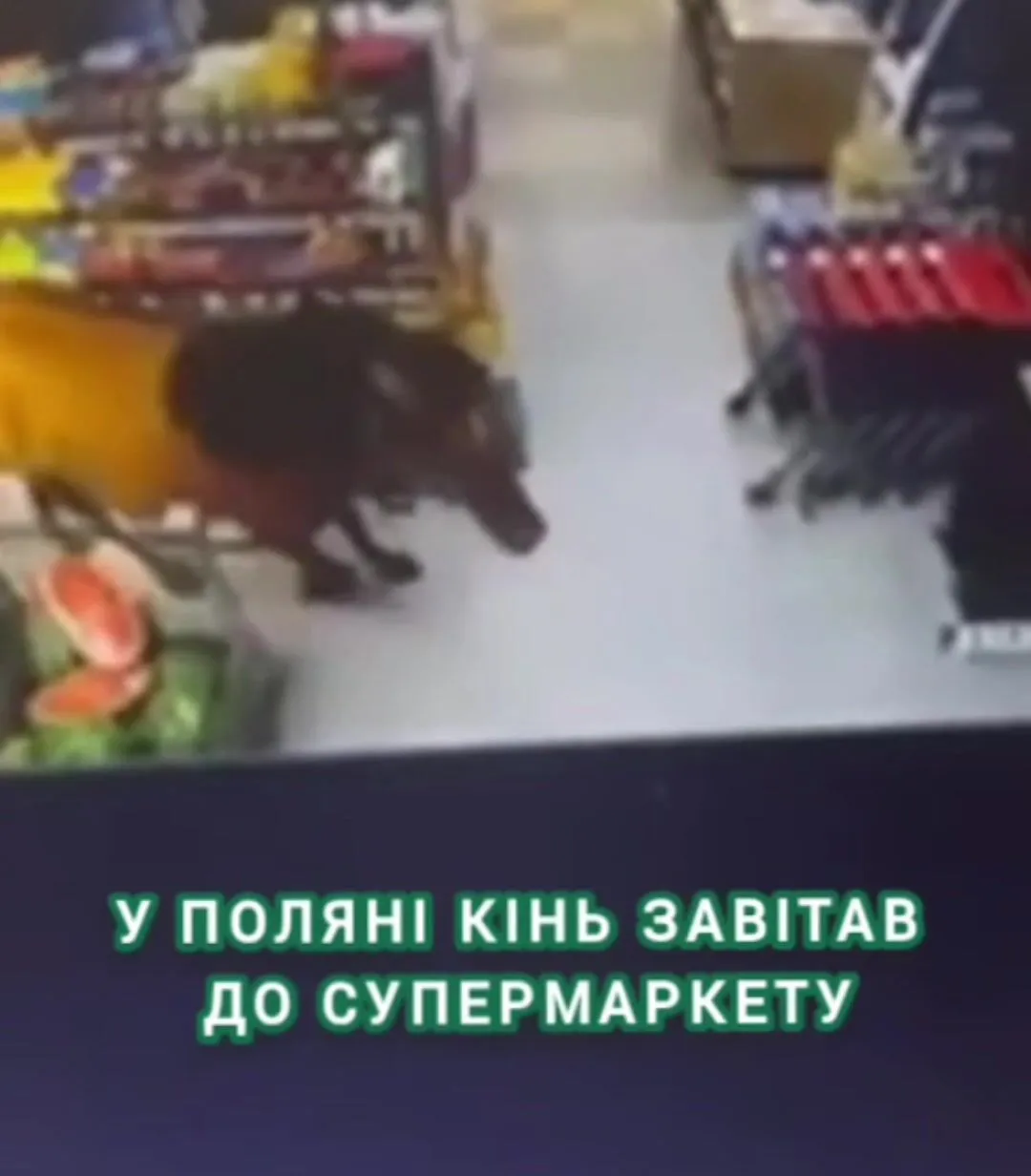 В Поляне лошадь зашла в супермаркет.