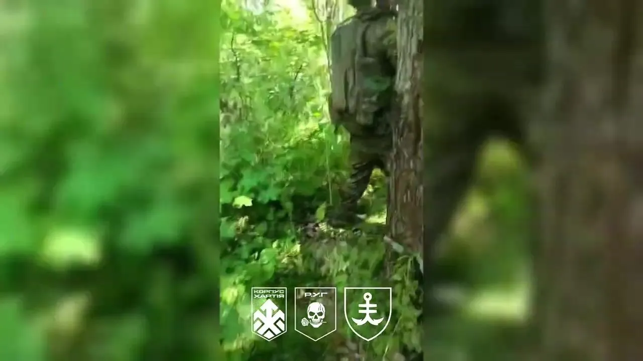 Сили оборони звільнили ще 4 кв. км у районі Дворічної на Харківщині