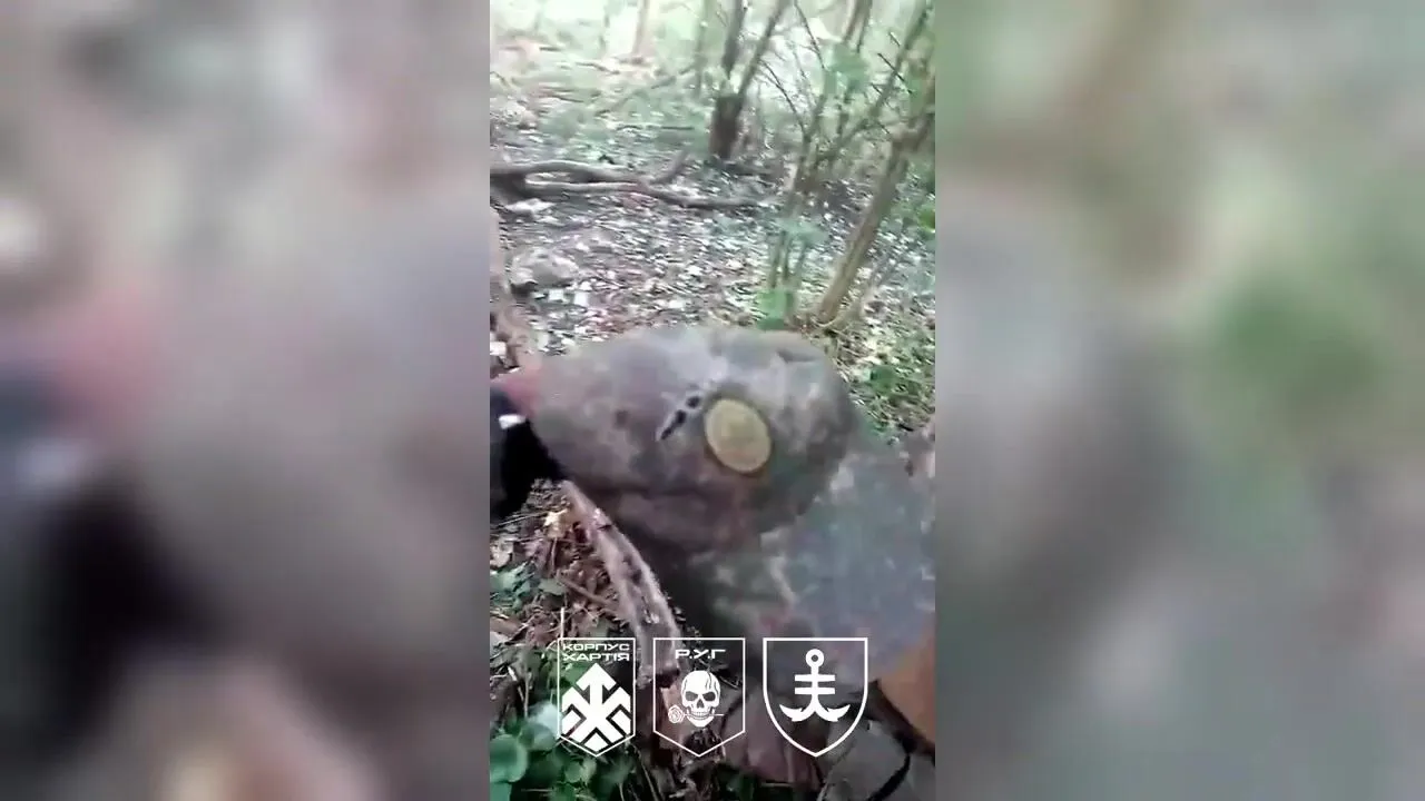 Сили оборони звільнили ще 4 кв. км у районі Дворічної на Харківщині