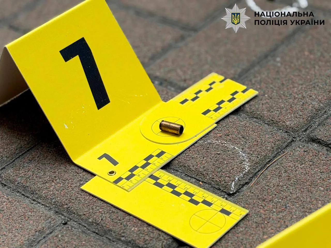 Зловмисник здійснив понад 20 пострілів у 71-річного чоловіка.