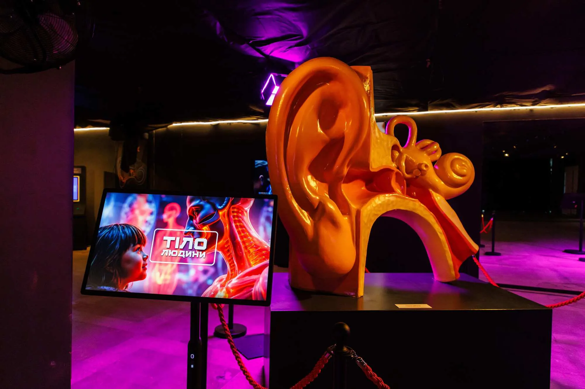 В Киеве открылся проект "Тело человека" с трёмметровым сердцем, VR и селфи-аватарами