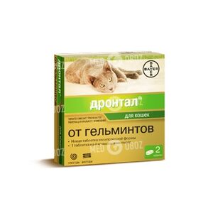 Дронтал