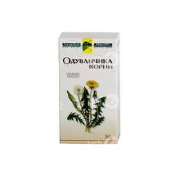 Одуванчика корень