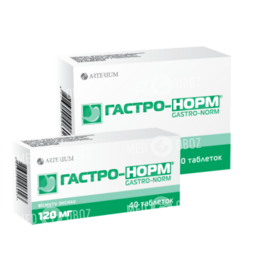 Гастро-Норм