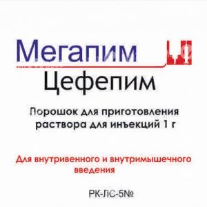 Мегапим