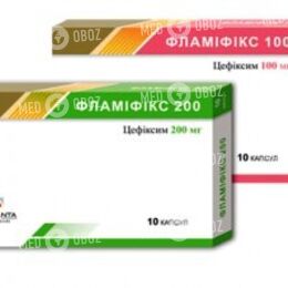 Фламификс 100