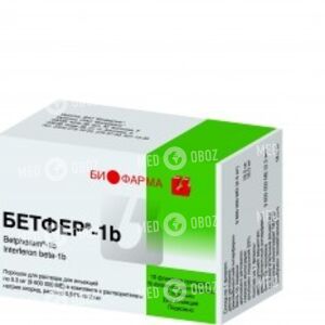 Бетфер-1b