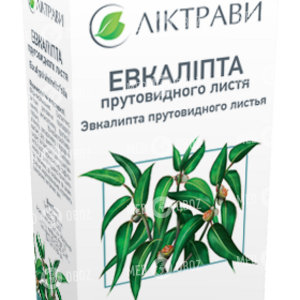 Эвкалипта Прутовидного