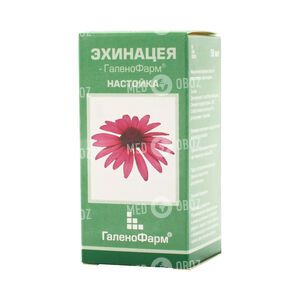 Ехінацея