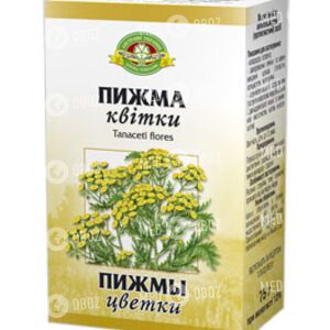 Пижма