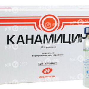 Канамицин