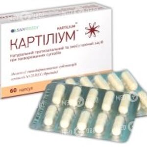 Картилиум