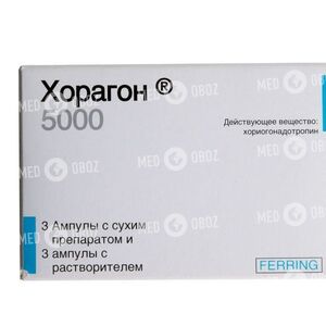 Хорагон