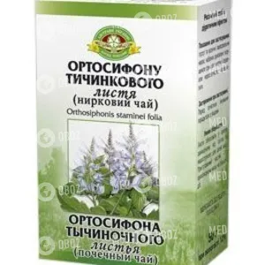 Ортосифона Тычиночного