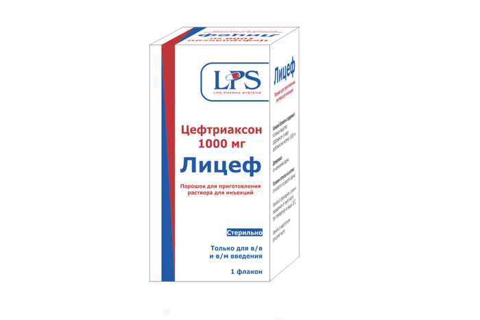 Лицеф