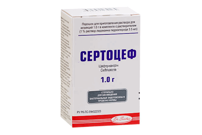 Сертоцеф
