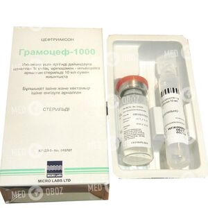 Грамоцеф 1000