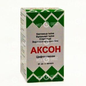 Аксон