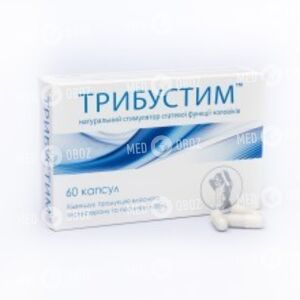 Трибустим