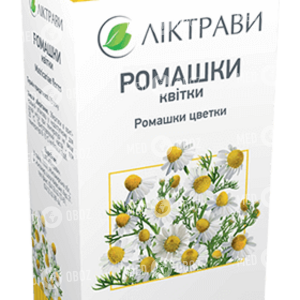Ромашки Цветки