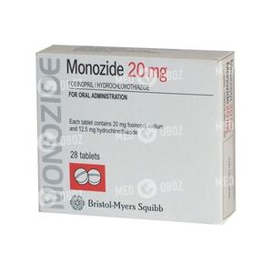 Монизид