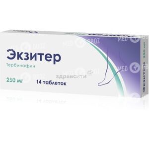 Экзитер