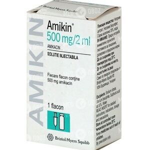 Амикин