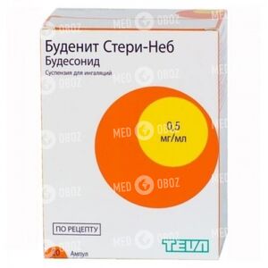 Буденит Стери-Неб