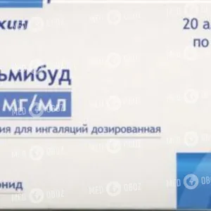 Пульмибуд