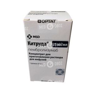 Китруда