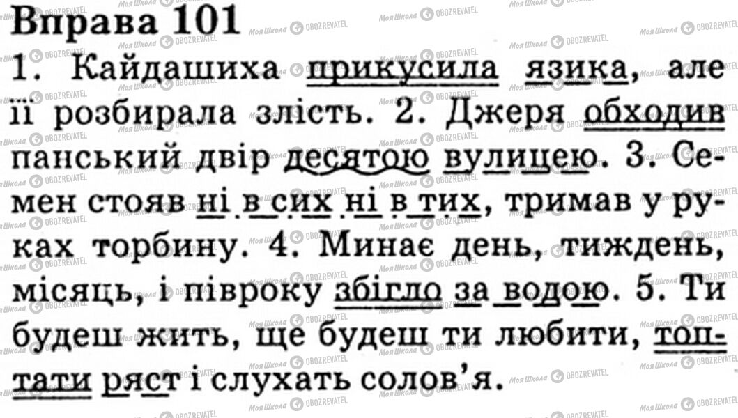 ГДЗ Українська мова 6 клас сторінка Bnp.101