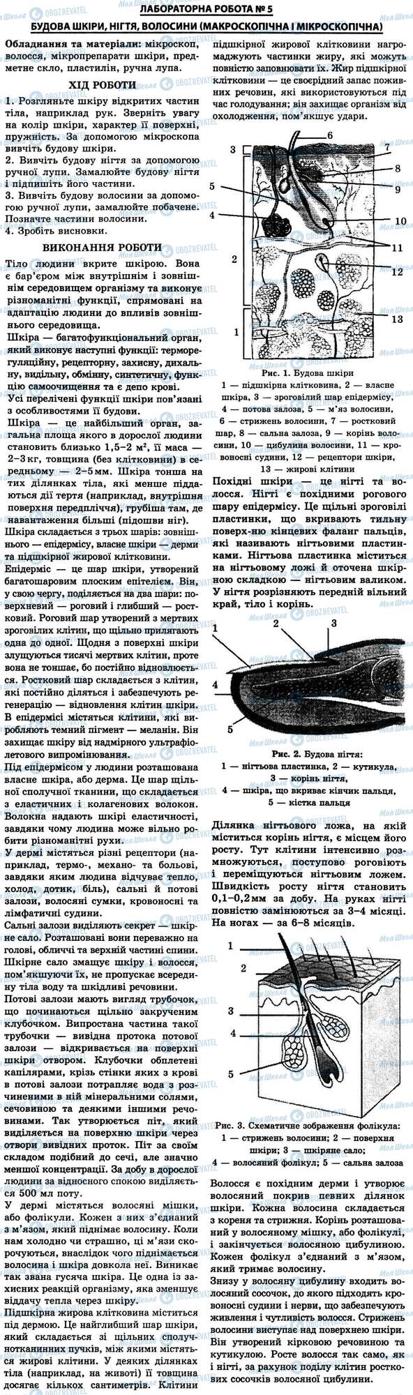 ГДЗ Биология 9 класс страница № 5. Будова шкіри, нігтя, волосини